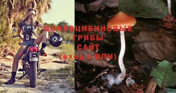 эйфоретик Алексеевка