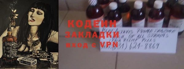 мет Алексин