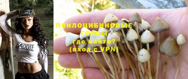 эйфоретик Алексеевка