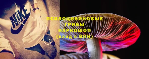 ГАЛЛЮЦИНОГЕННЫЕ ГРИБЫ Абинск