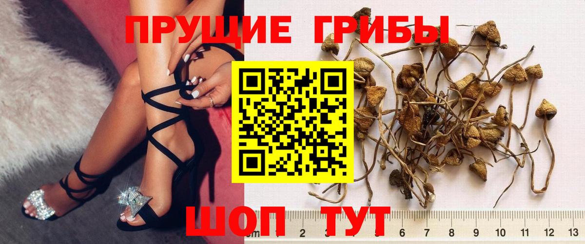 Галлюциногенные грибы Magic Shrooms Лангепас